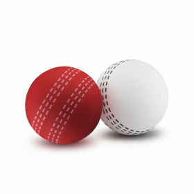 High Bounce Cricket Balls